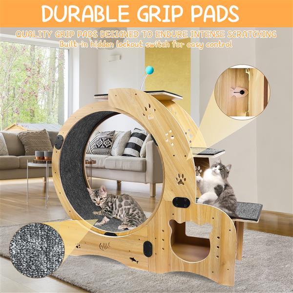 The Whisker Wheel" (6-in-1 Cat Wheel)