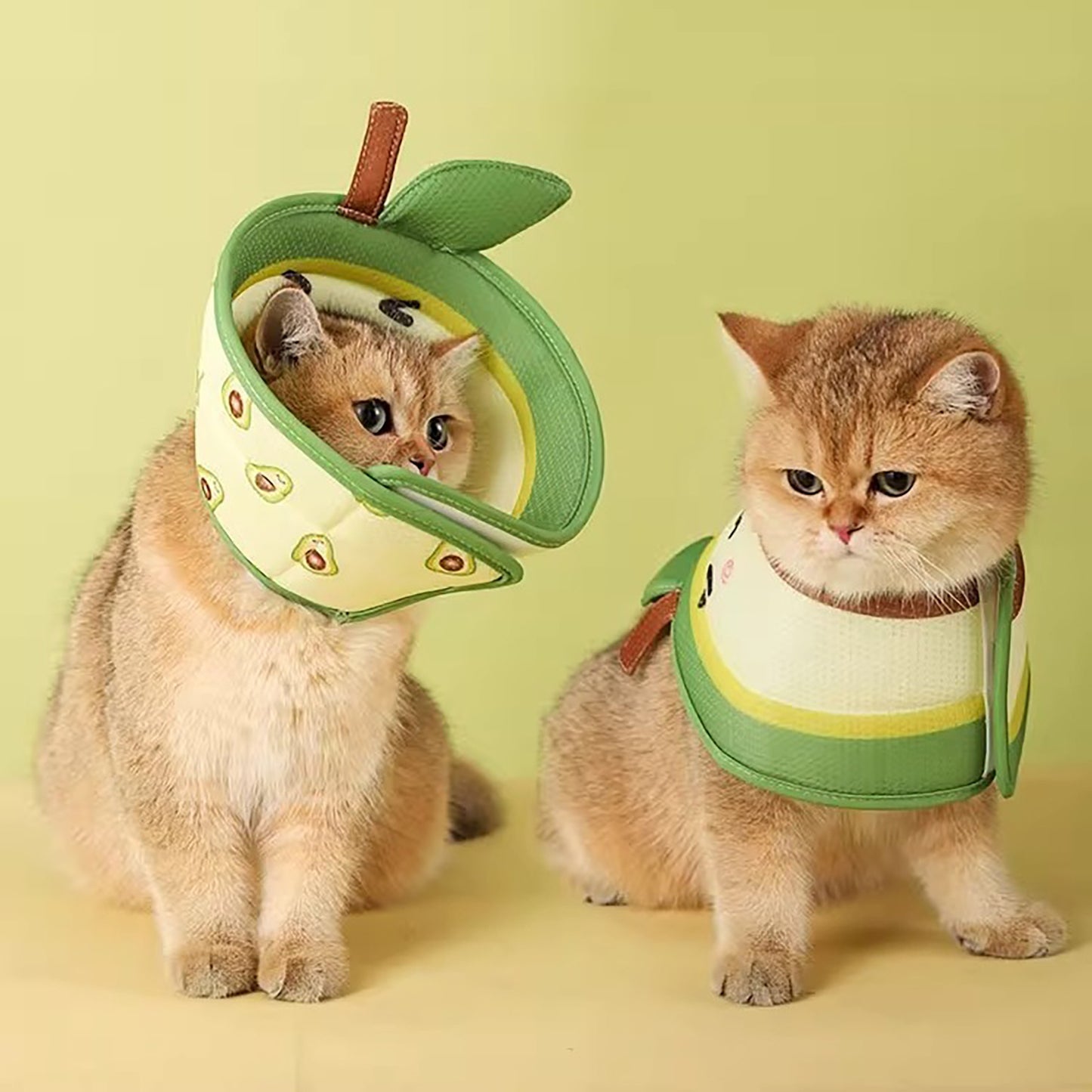 The Comfy Cone™ Collar (Avocado Style)