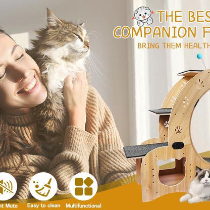 The Whisker Wheel" (6-in-1 Cat Wheel)