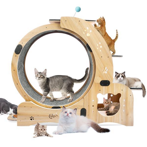 The Whisker Wheel" (6-in-1 Cat Wheel)