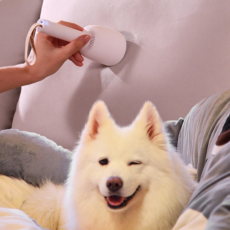 The Desktop Detailer: Mini Wireless Vacuum for Pet Hair and Desktop Cleanups