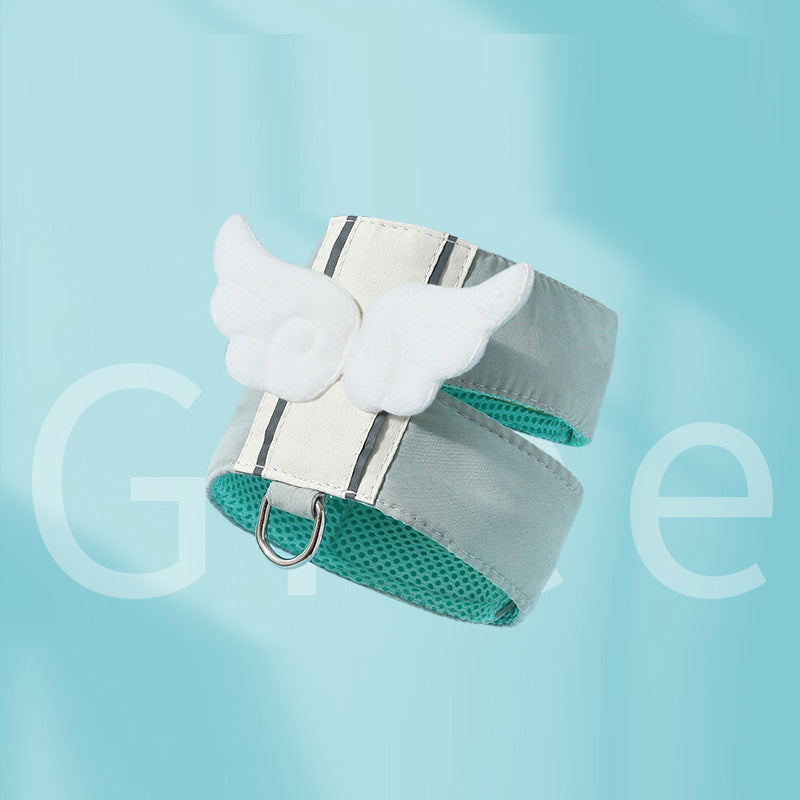 The AngelWing™ Harness & Leash Set