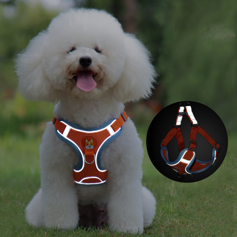 The Safe Stroll Harness