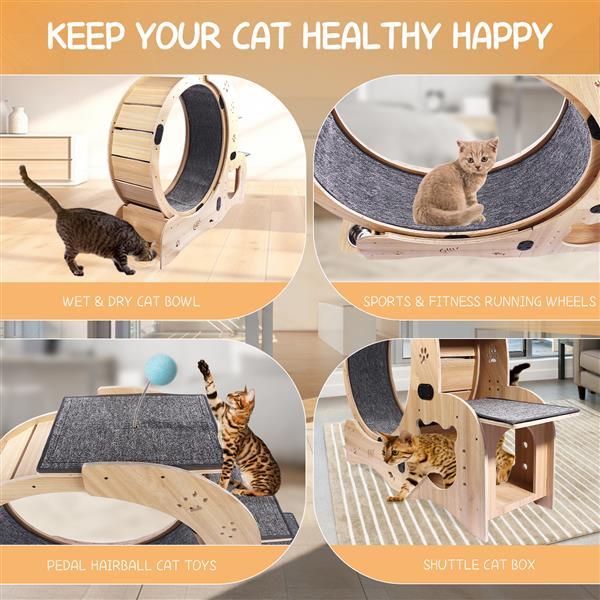 The Whisker Wheel" (6-in-1 Cat Wheel)