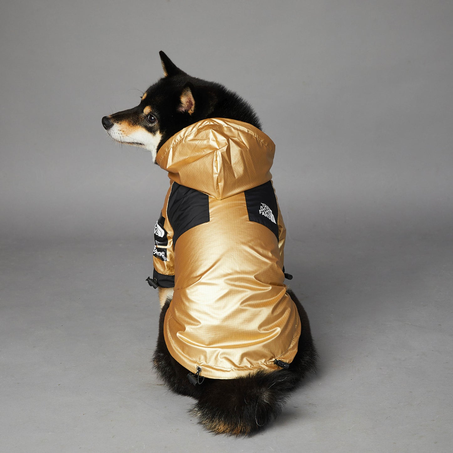 The Summit Pup™ Coat