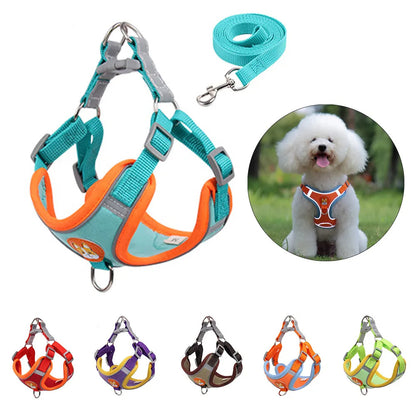 The Safe Stroll Harness