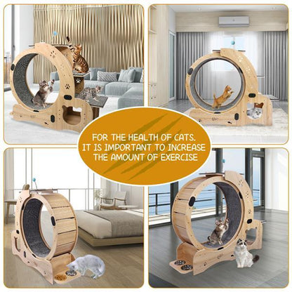 The Whisker Wheel" (6-in-1 Cat Wheel)
