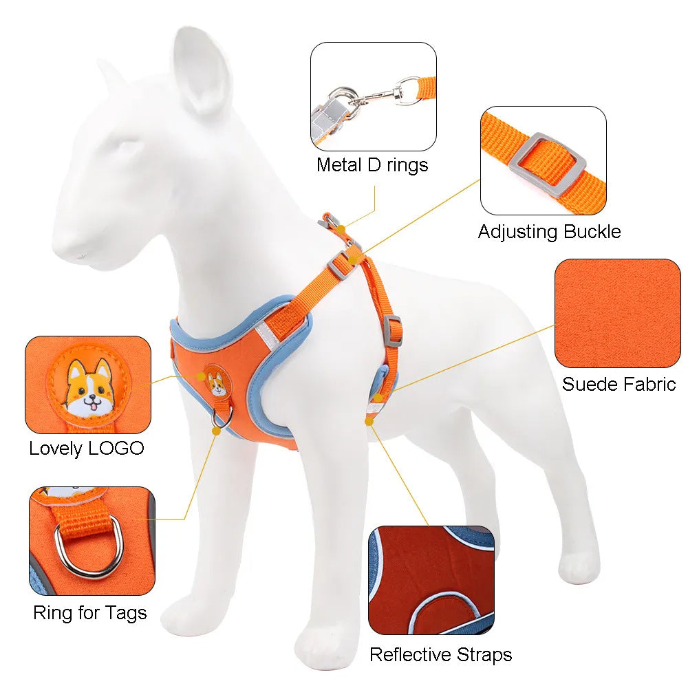 The Safe Stroll Harness