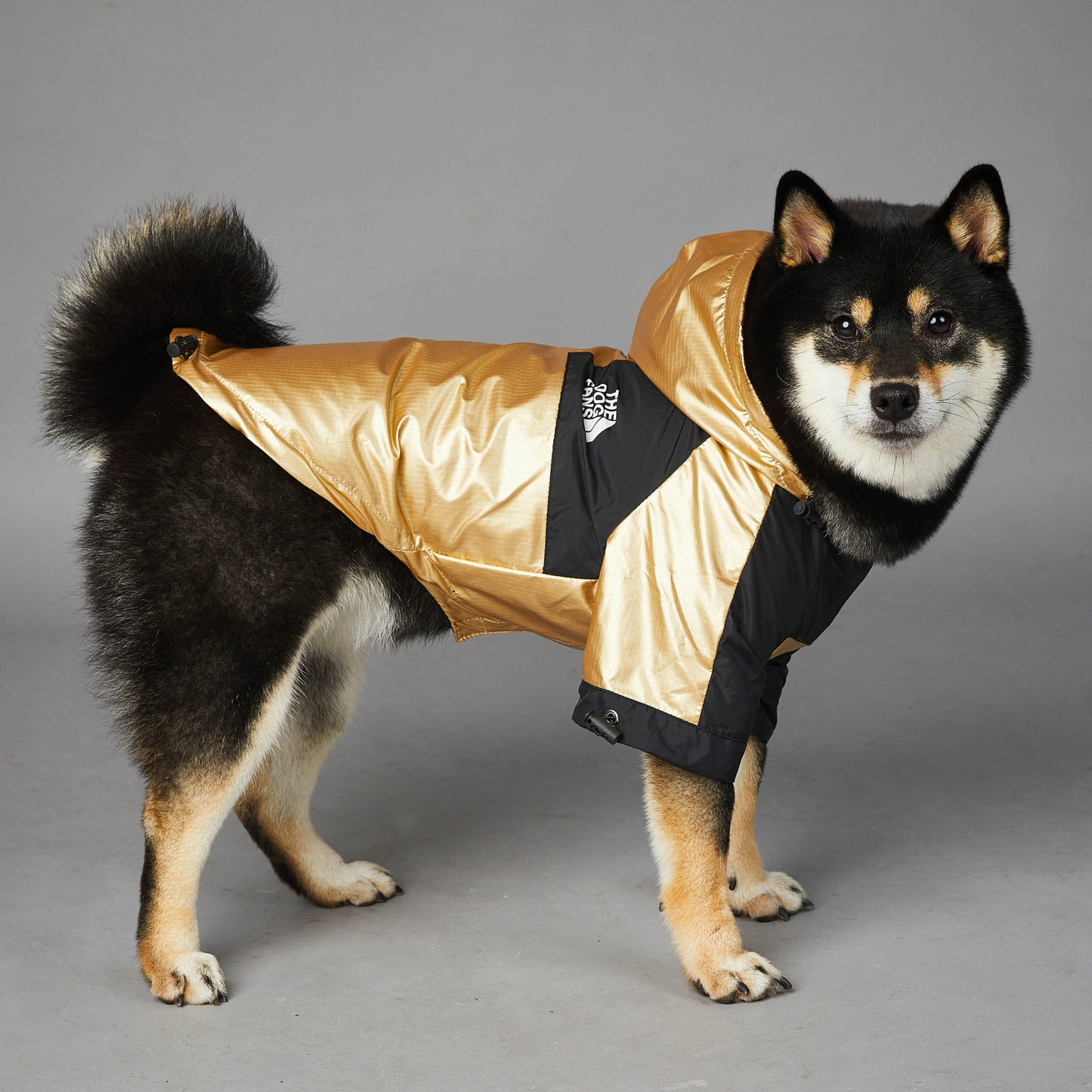 The Summit Pup™ Coat