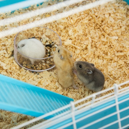 The Pet Paradise: 5-Tier Hamster Habitat