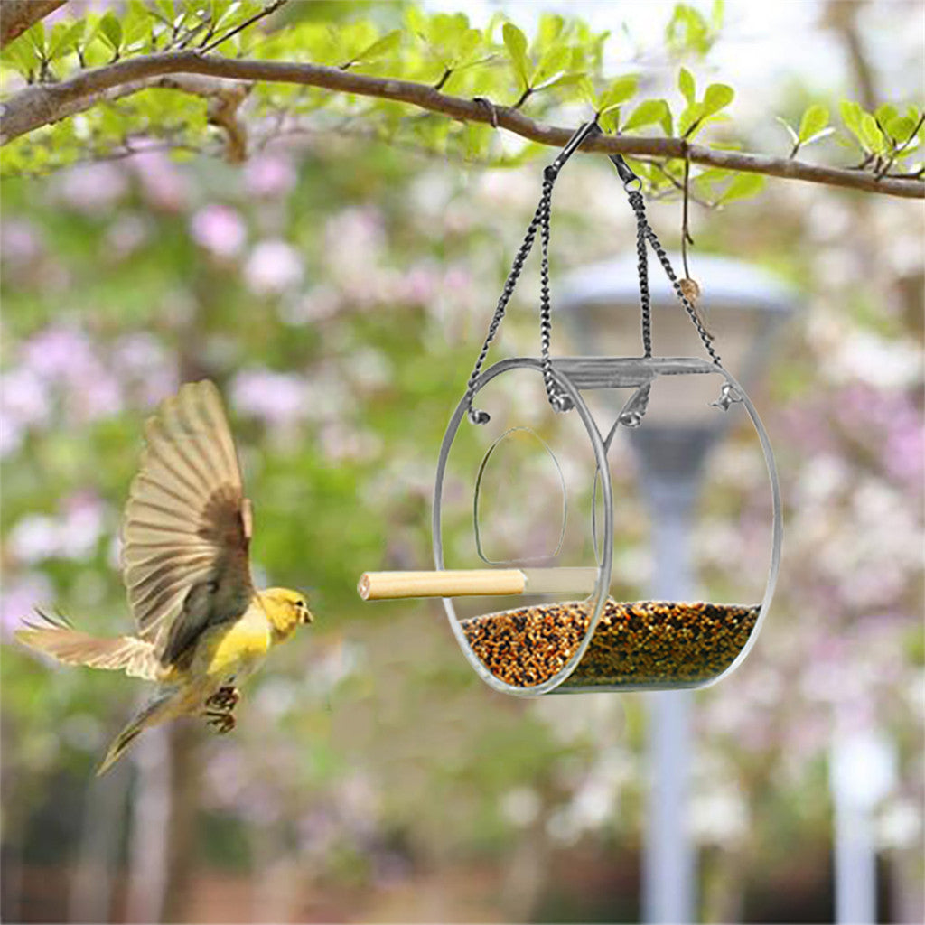The Clear View Feeder