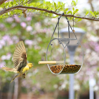 The Clear View Feeder
