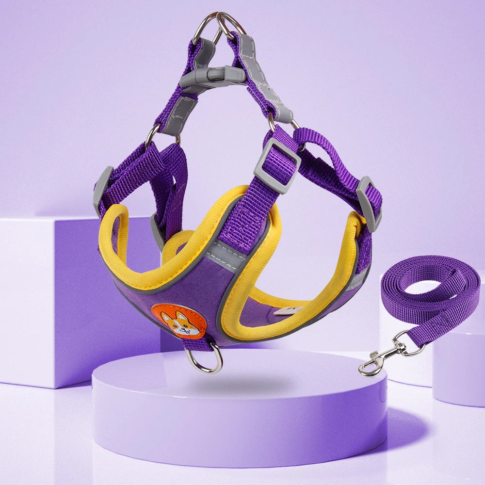 The Safe Stroll Harness