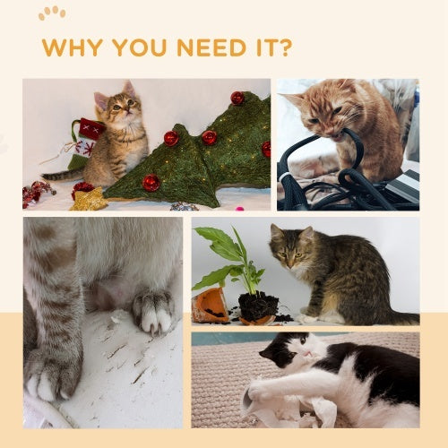 The Scratch Wheel Inserts