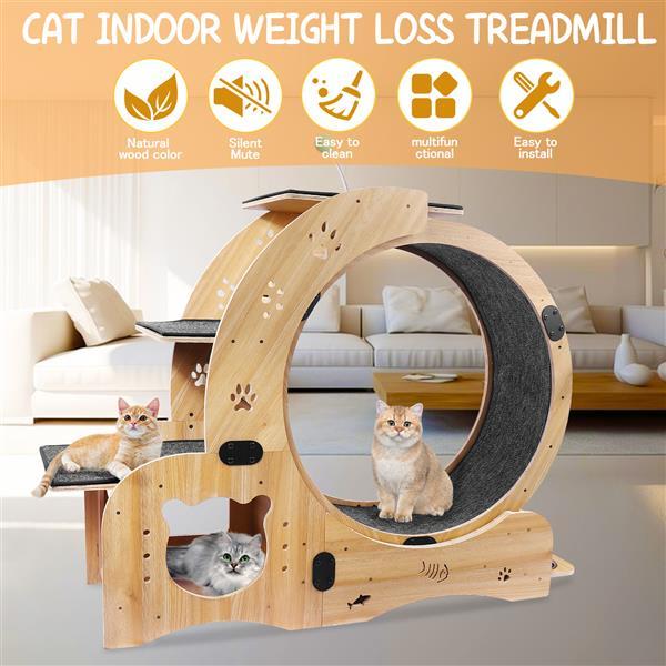 The Whisker Wheel" (6-in-1 Cat Wheel)