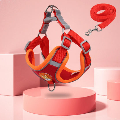 The Safe Stroll Harness