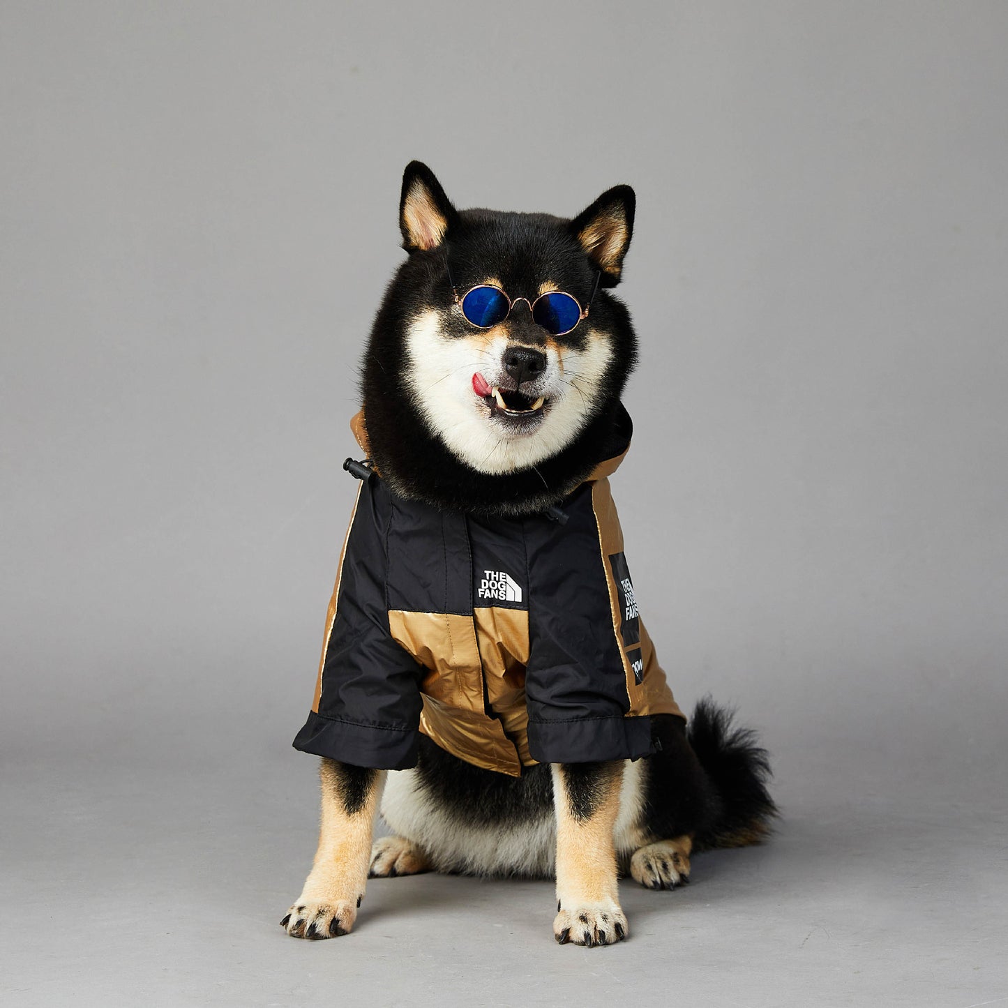 The Summit Pup™ Coat