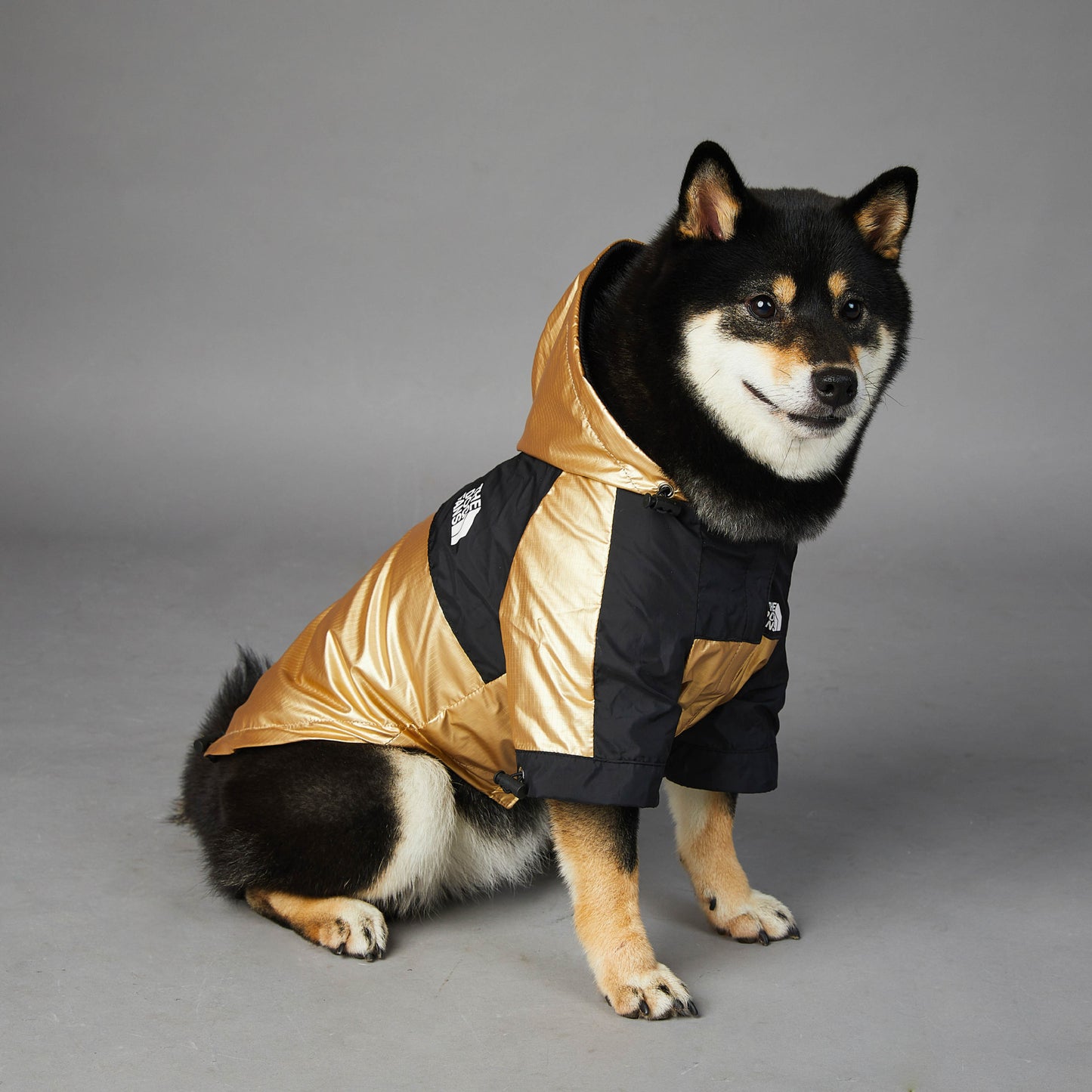 The Summit Pup™ Coat