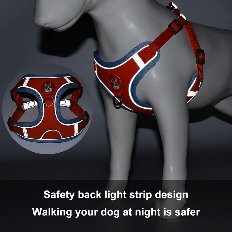 The Safe Stroll Harness