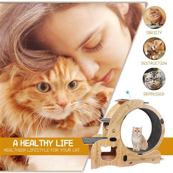 The Whisker Wheel" (6-in-1 Cat Wheel)