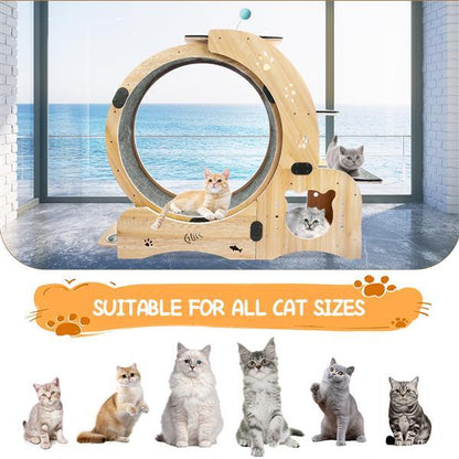 The Whisker Wheel" (6-in-1 Cat Wheel)