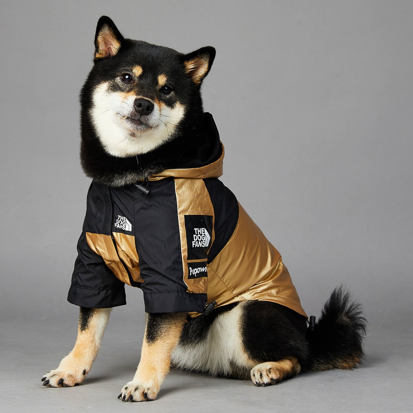 The Summit Pup™ Coat